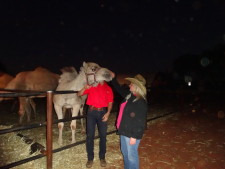 Camel riding at sunrise is very popular.  Although this was at night..just thought you might like to no that.