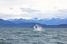 William-Henry-Bay-Alaska-HGR-145447_1920- Photo_Ashton_Ray_Hansen